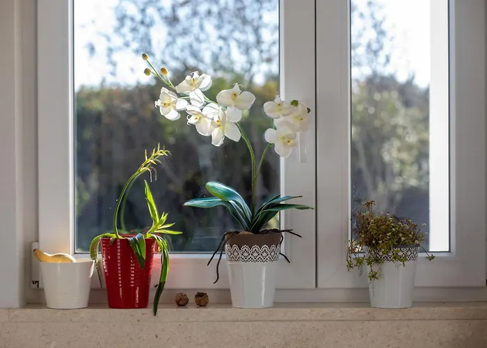 Βίλα Val Zuanaga Rovinj-vestar *